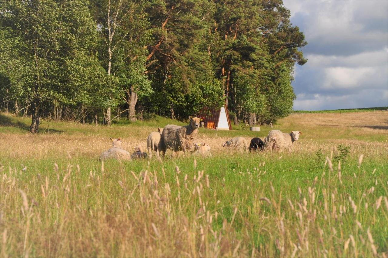 Sandfallet Glamping Laholm Eksteriør bilde